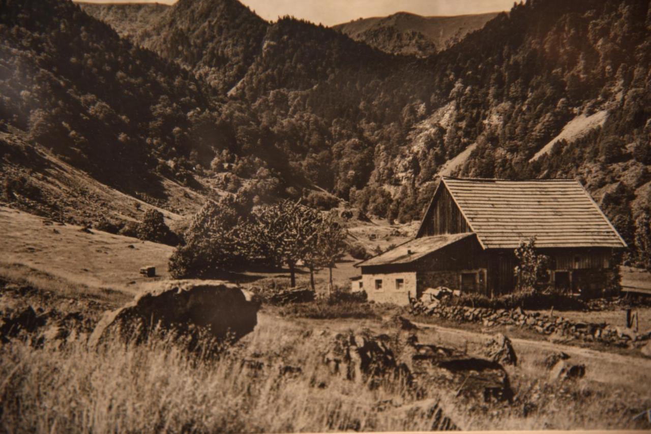 Hotel Deybach Munster  Εξωτερικό φωτογραφία